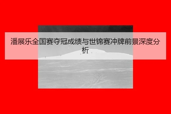 pan-zhan-le-quan-guo-sai-duo-guan-cheng-ji-yu-shi-jin-sai-chong-pai-qian-jing-shen-du-fen-xi-2-330.jpg